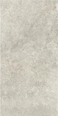 Ragno Richmond Taupe Rett 60x120 / Ранье Ричмонд
 Таупэ Рет 60x120 